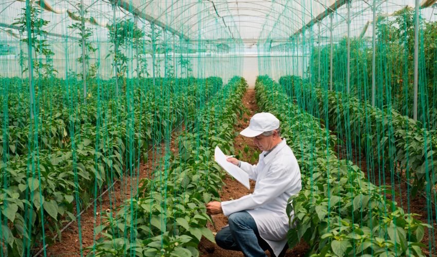 Kirshak Unnati Biotech services